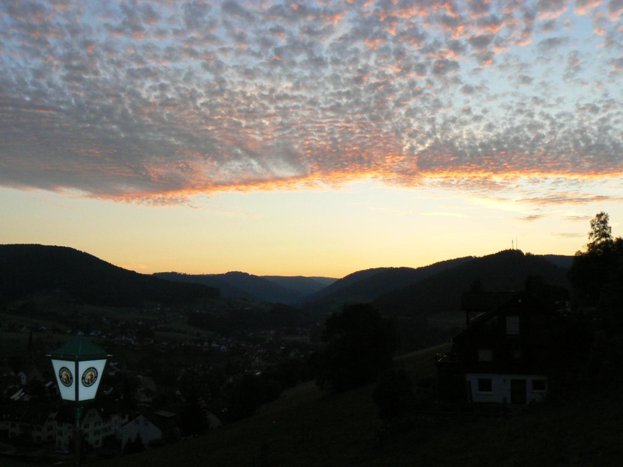 Pension Talblick Baiersbronn Exteriér fotografie