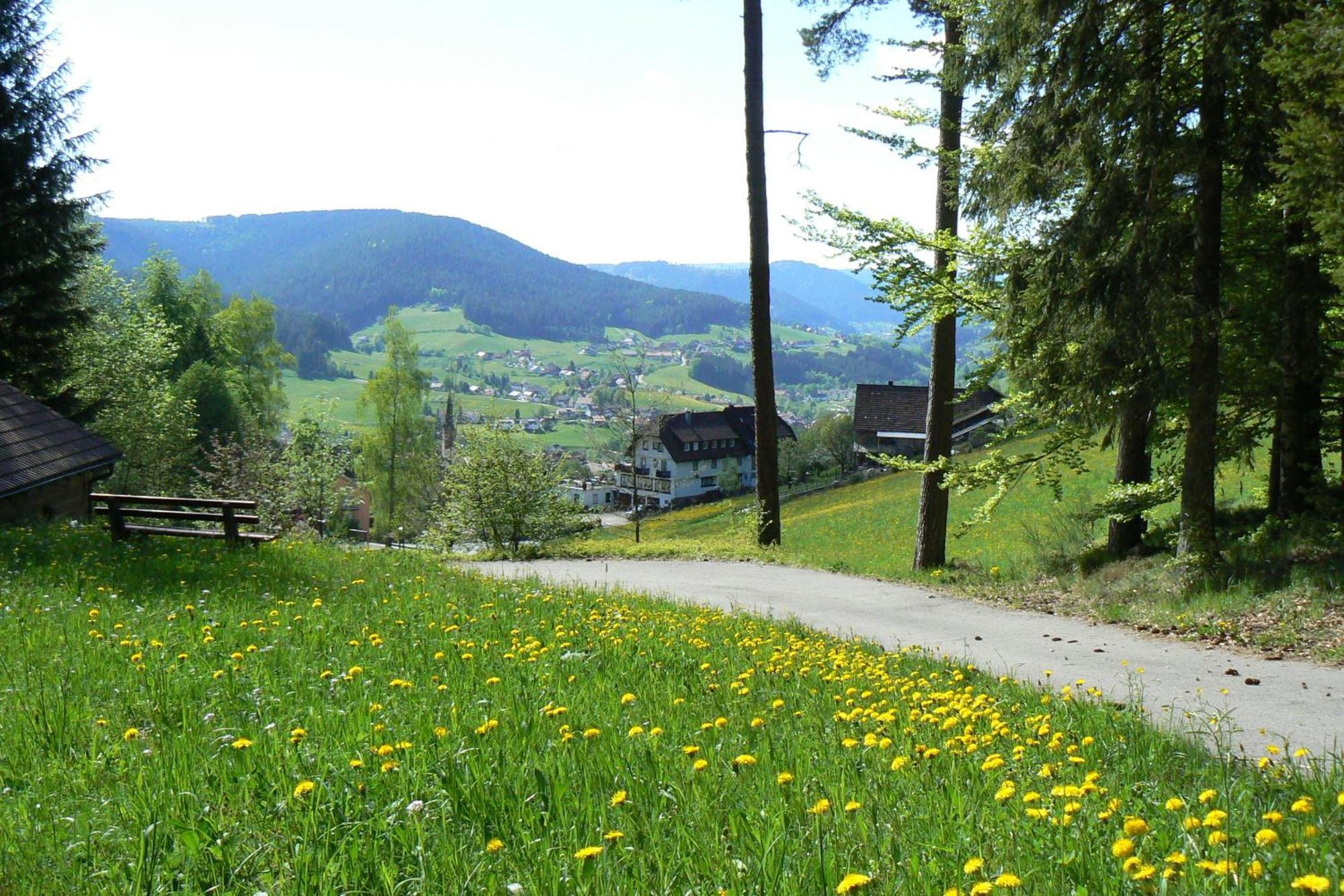 Pension Talblick Baiersbronn Exteriér fotografie