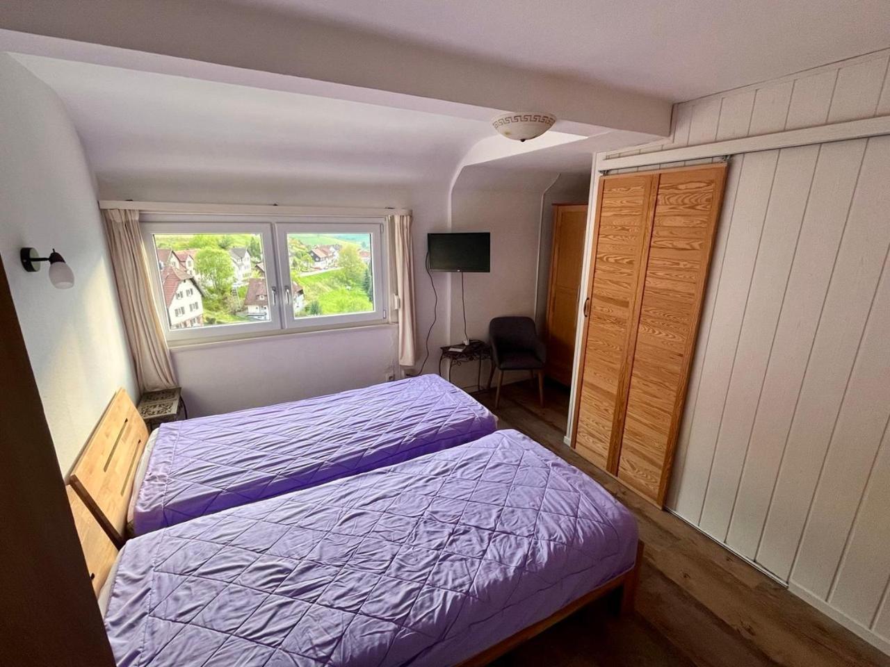 Pension Talblick Baiersbronn Exteriér fotografie