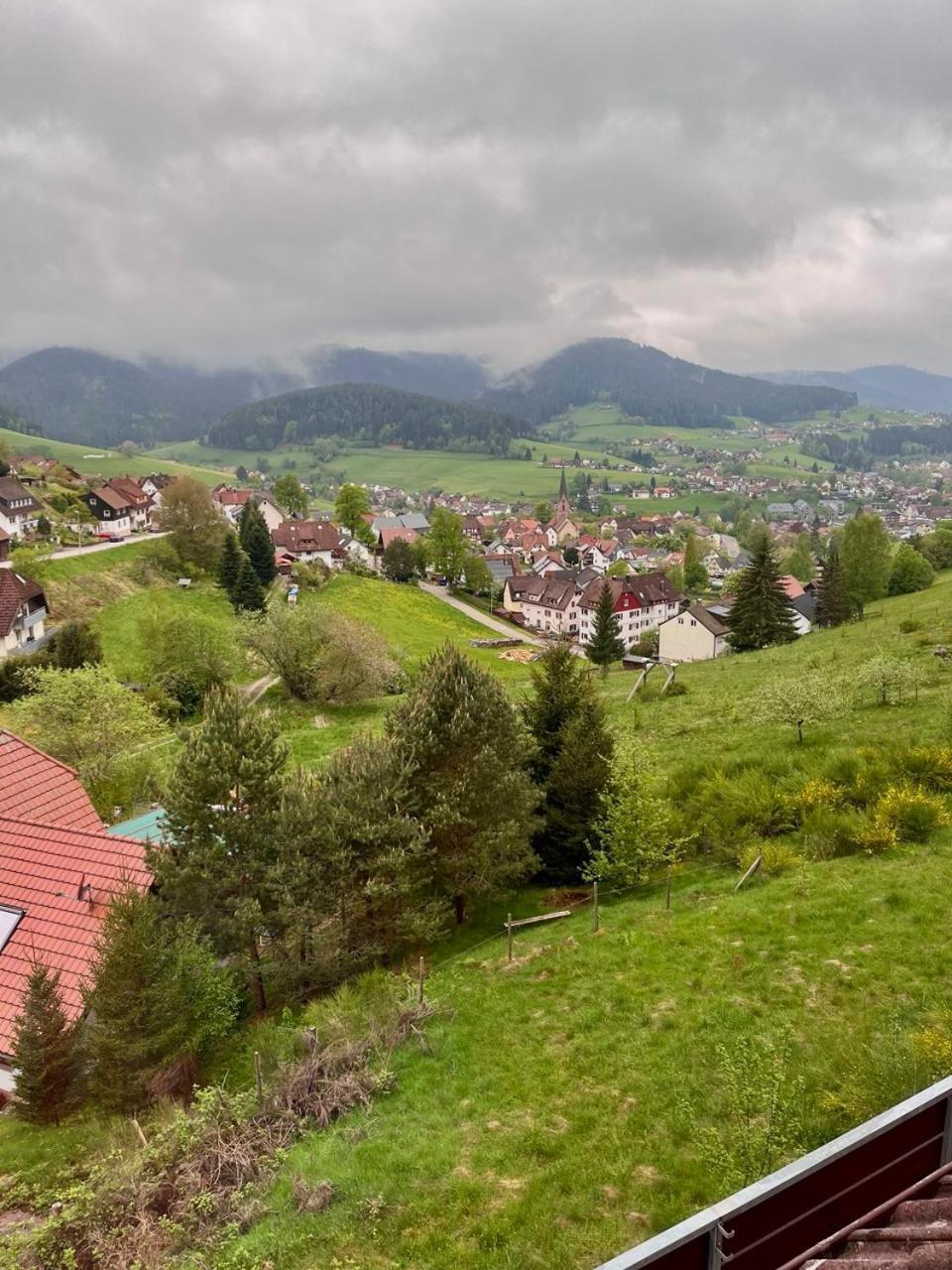 Pension Talblick Baiersbronn Exteriér fotografie